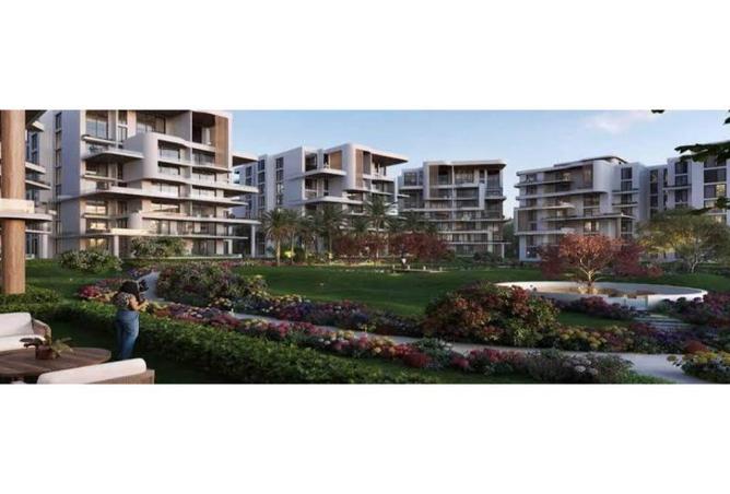 8137620 - Property Image 2