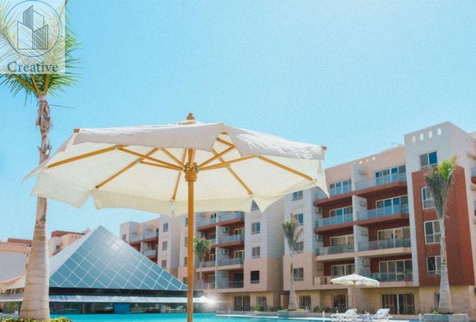 8377551 - Property Image 2