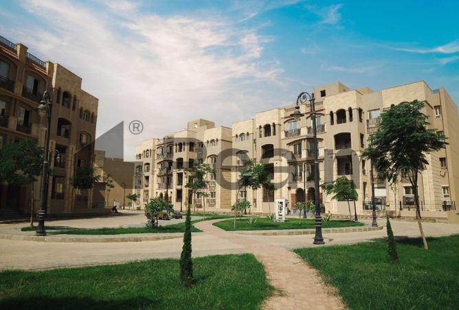 8277985 - صورة العقار 3