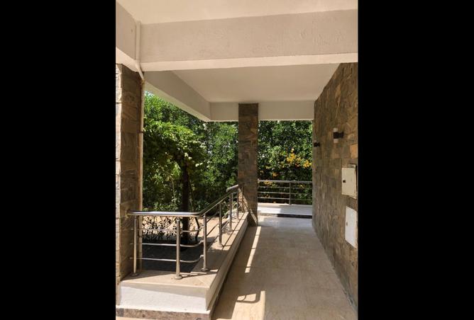 8213677 - صورة العقار 3