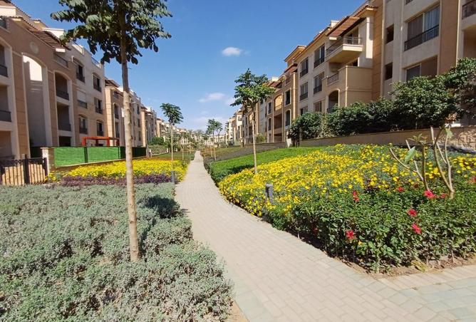 7959250 - صورة العقار 3