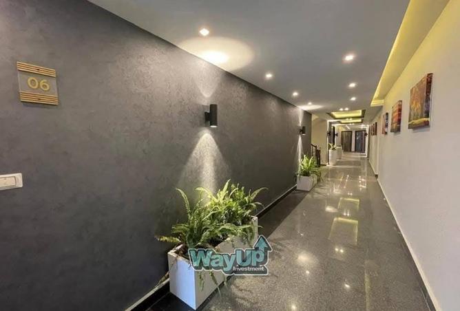 8384137 - Property Image 3