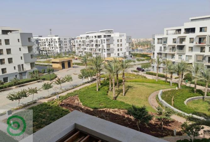 8246167 - Property Main Image