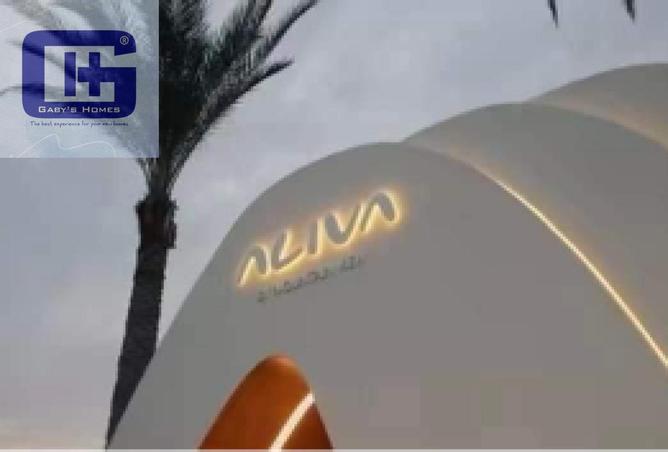 8136361 - Property Image 3