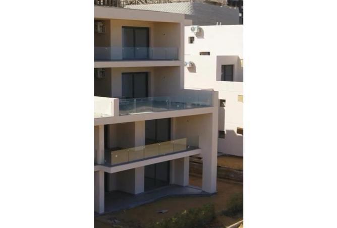 7941589 - Property Image 2