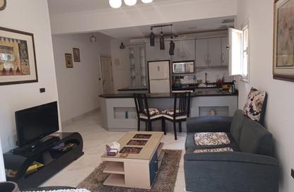 Apartment - 1 Bedroom - 1 Bathroom for rent in Orouba Axis - Area A - Ganoob El Acadimia - New Cairo City - Cairo