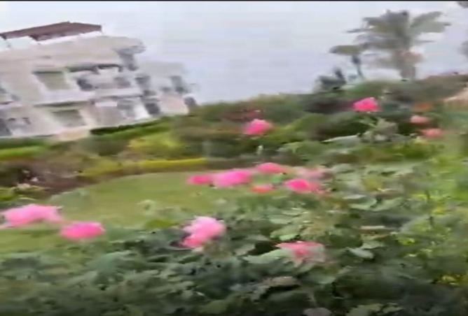 8415062 - Property Image 2