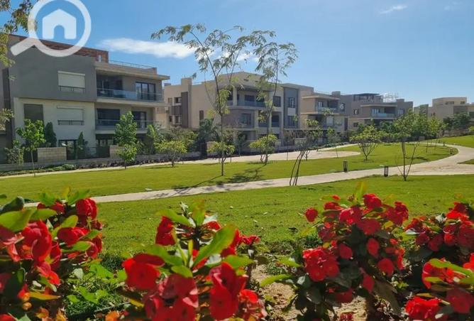 8448795 - صورة العقار 3