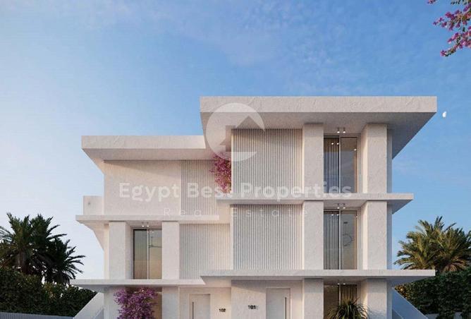 8093482 - Property Image 2