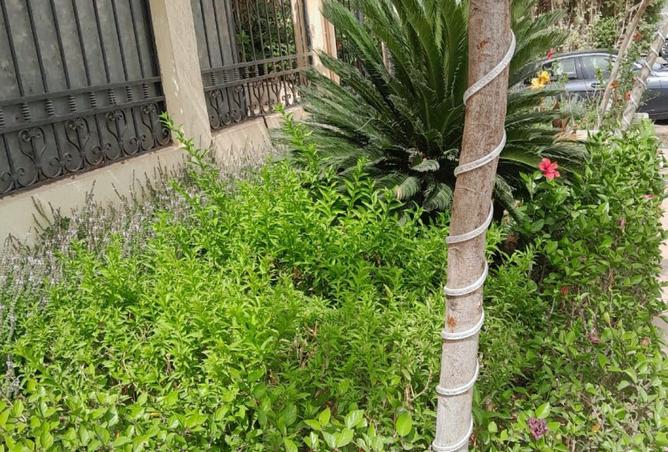 8241748 - Property Image 2