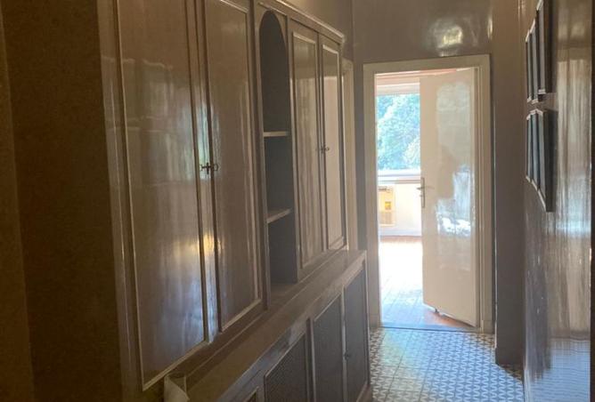 8135877 - Property Image 3