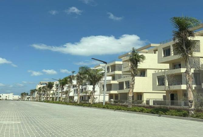 8440672 - Property Image 3