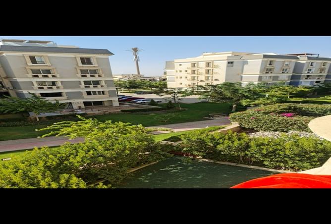 8423565 - Property Image 3