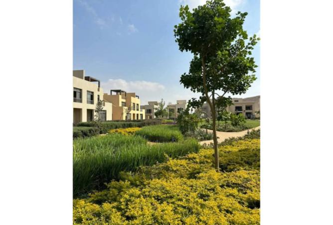 8098225 - Property Image 3