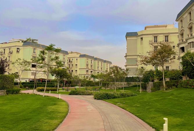 8103088 - Property Image 3