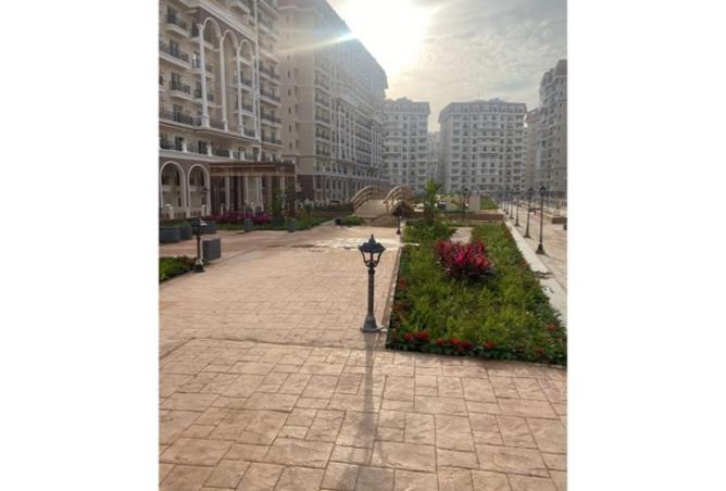 8441680 - Property Image 3