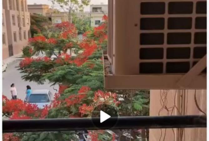 8183717 - صورة العقار 2