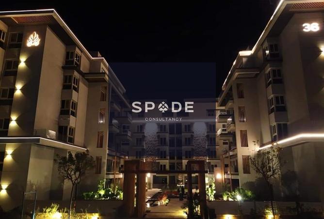 8477085 - Property Image 3