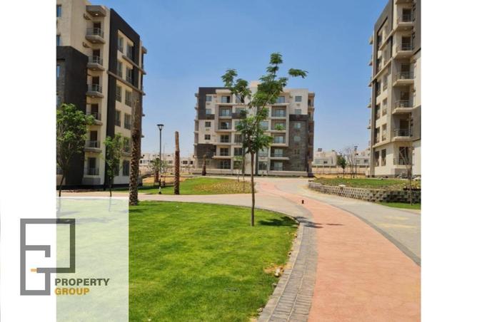 7988404 - Property Image 3