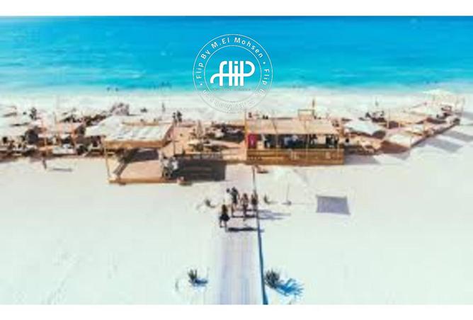 8328824 - Property Image 2