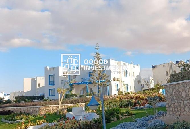 8376984 - Property Image 3