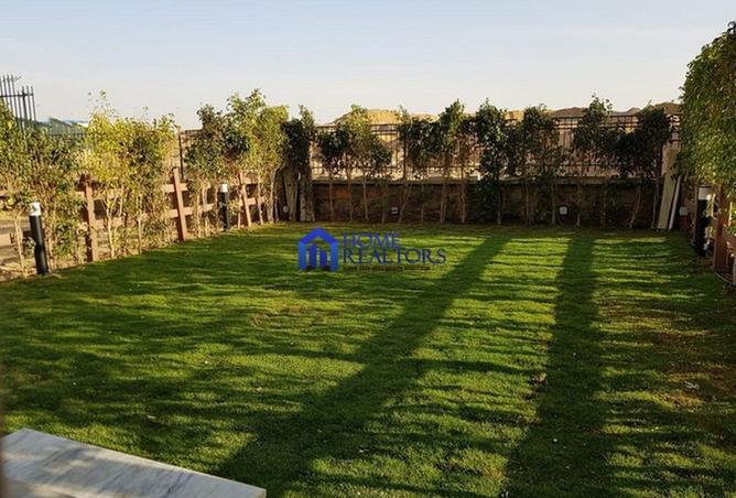 8325963 - Property Image 3