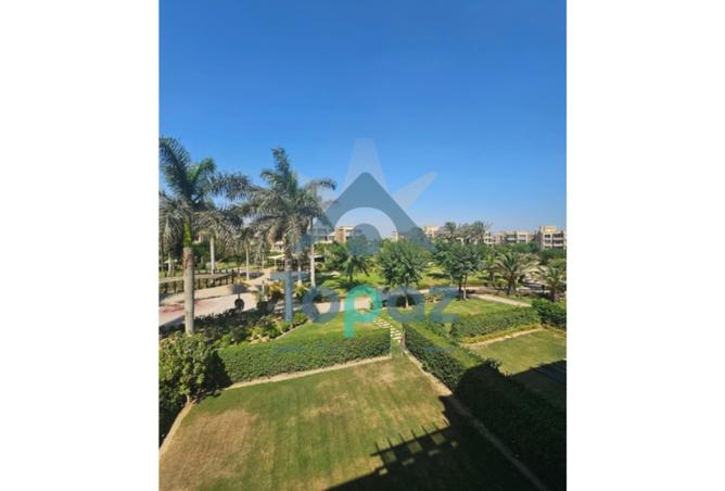 8206699 - Property Image 3