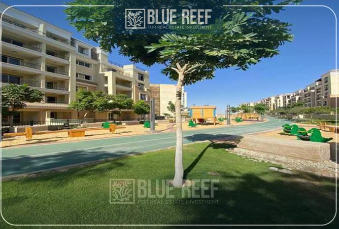 8258342 - Property Image 3