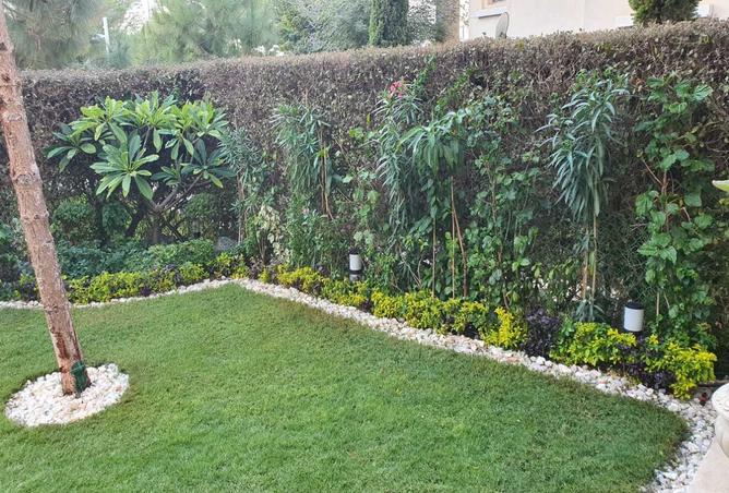 8206047 - صورة العقار 3