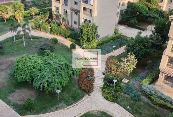 7920869 - Property Image 3