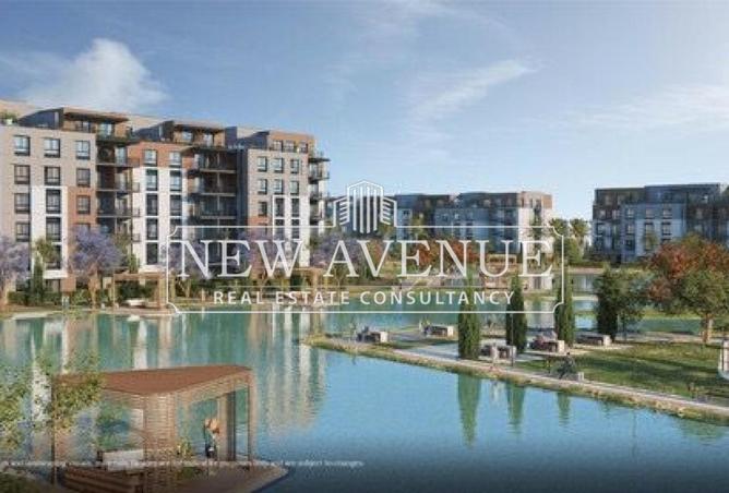 8243607 - Property Image 3