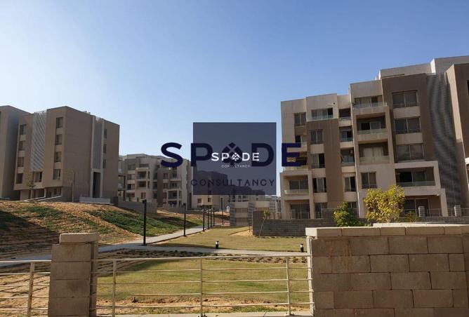 7890800 - Property Image 3
