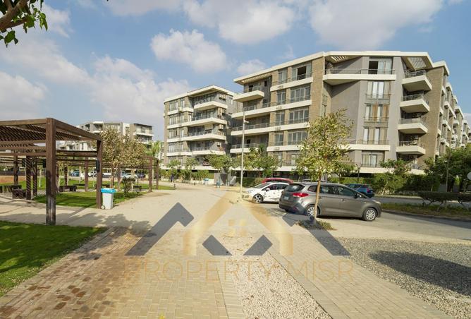 8520968 - Property Image 3