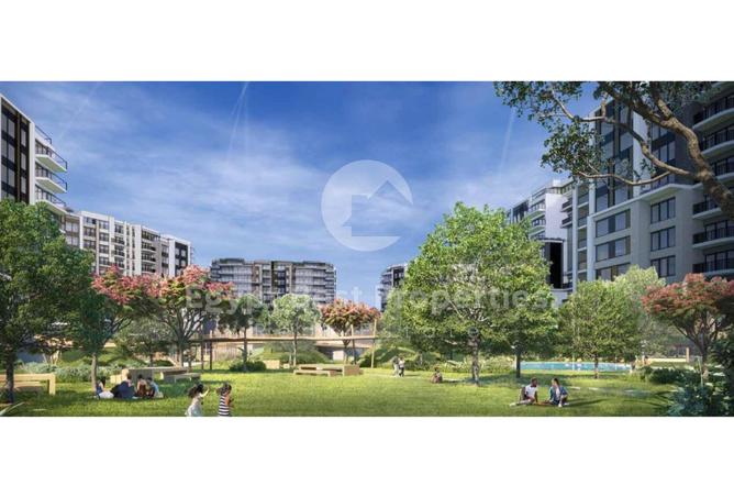 7918043 - Property Image 3
