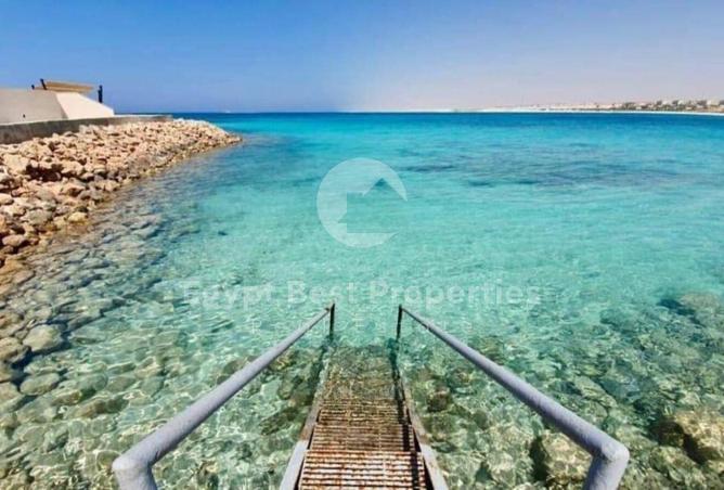 7906035 - صورة العقار 2