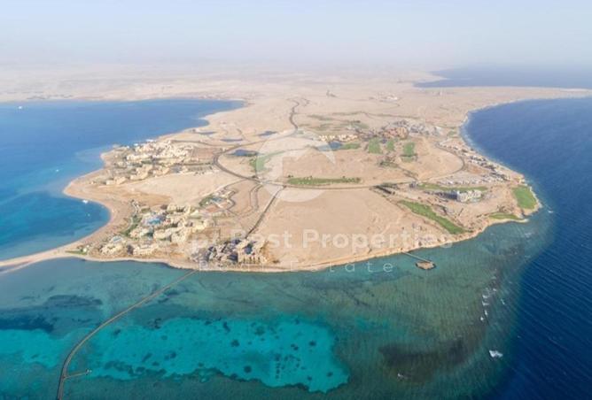 8196718 - Property Image 3