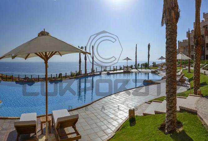 8171116 - Property Image 3