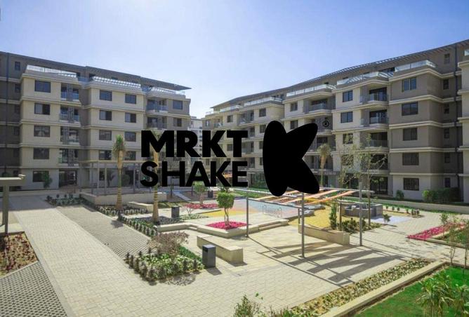 8513531 - Property Image 3