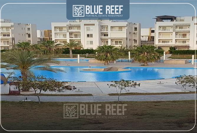 8276482 - Property Image 3