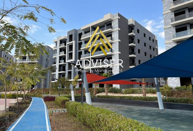 8280150 - Property Image 3