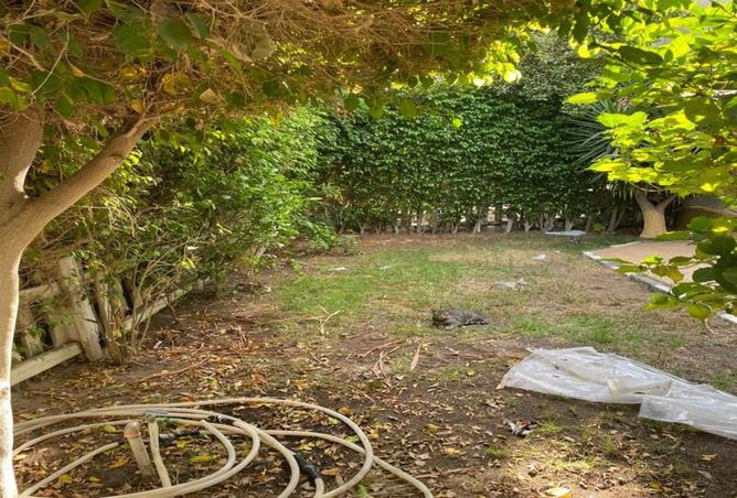 8337083 - صورة العقار 3