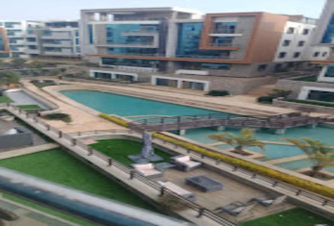 7967114 - صورة العقار 3