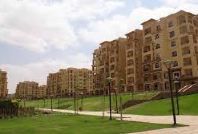 8329097 - Property Image 3