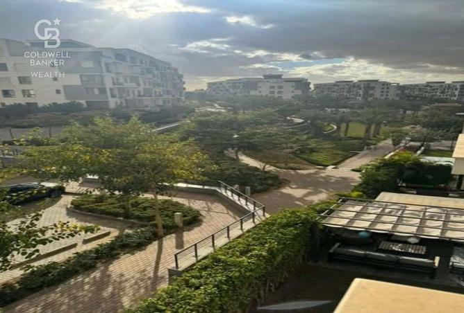 8095488 - Property Image 3