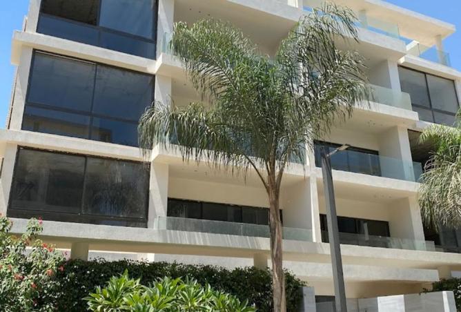 8167626 - Property Image 3