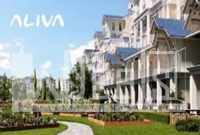 8330870 - Property Image 3