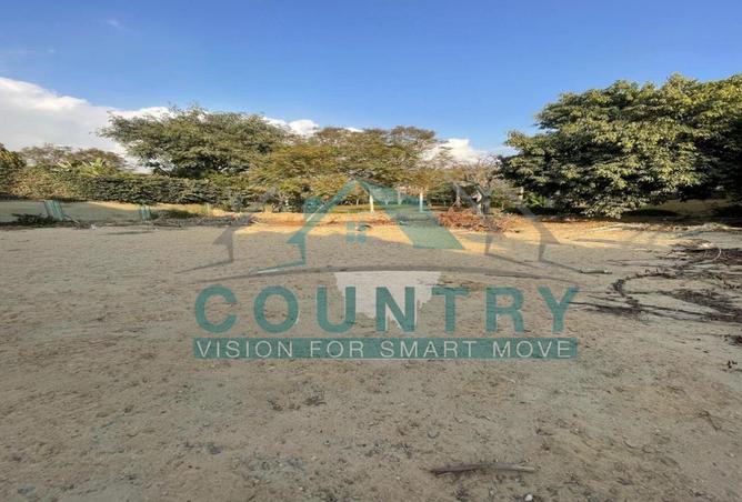 8076270 - Property Image 2