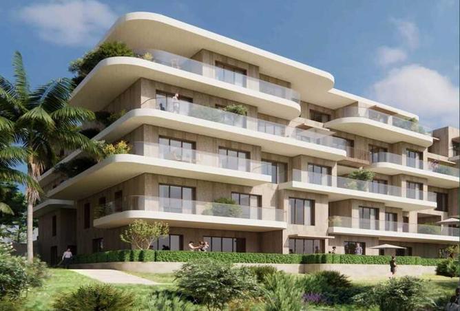 8010950 - Property Image 3