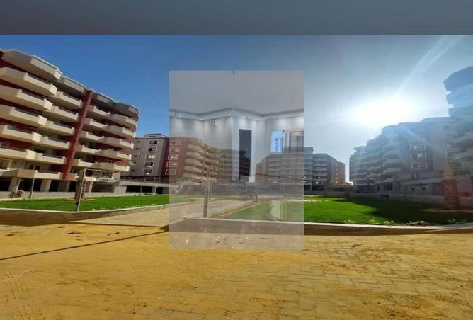 8161393 - Property Image 2