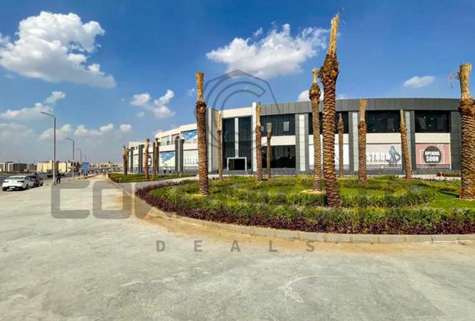 8132366 - Property Image 3